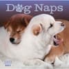 image Dog Naps 2027 Wall Calendar Main Product Image