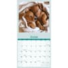 image Dog Naps 2027 Wall Calendar Third Alternate Image