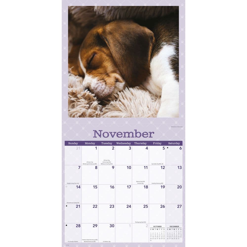 Dog Naps 2027 Wall Calendar Fourth Alternate Image
