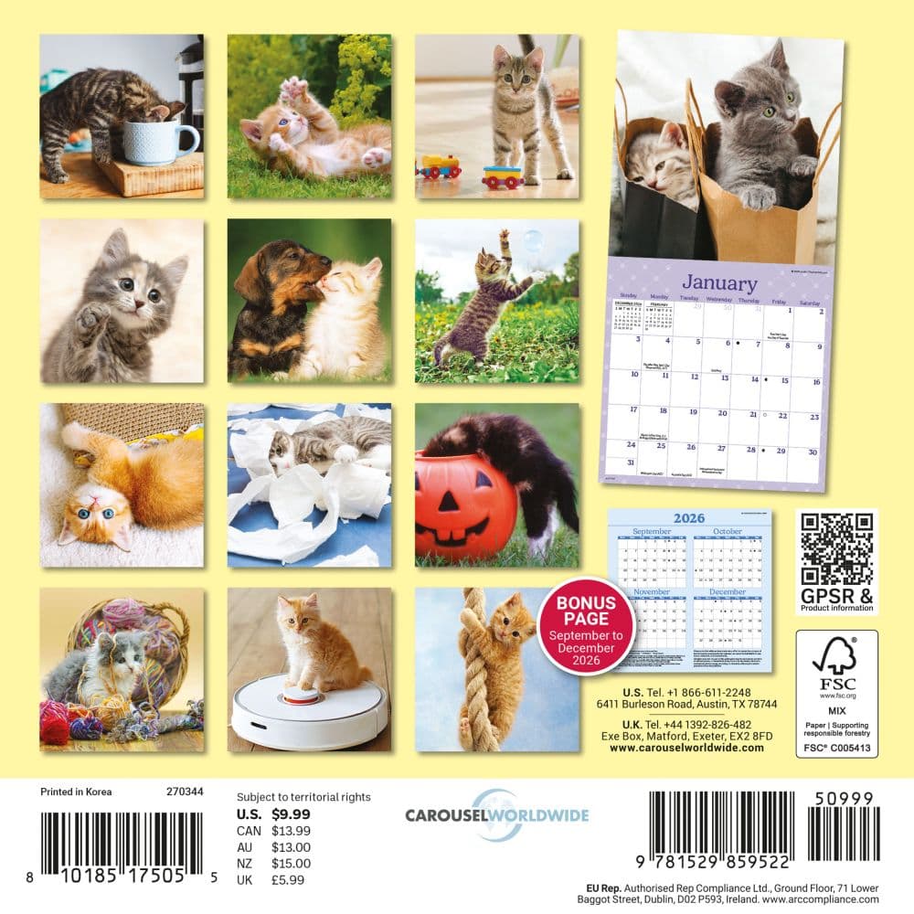 Curious Kittens 2027 Mini Wall Calendar First Alternate Image