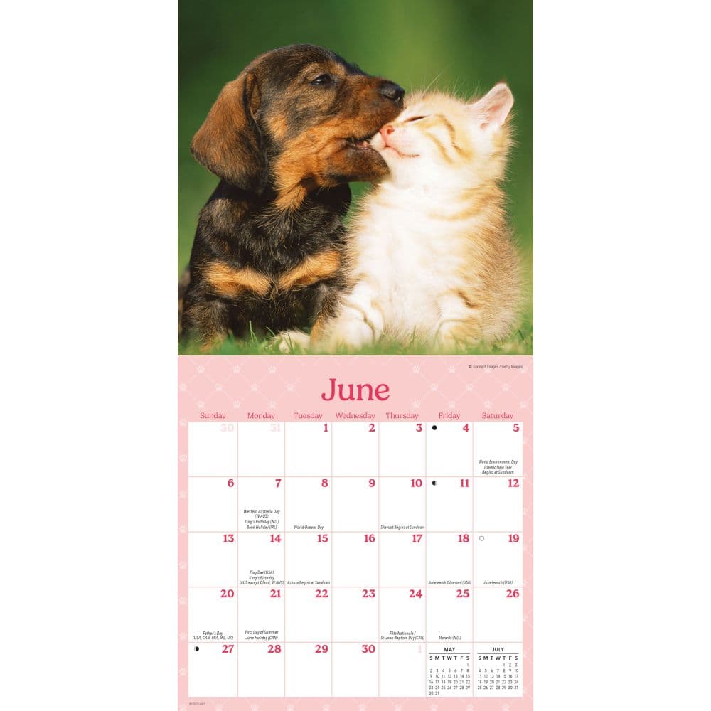 Curious Kittens 2027 Mini Wall Calendar Third Alternate Image