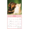 image Curious Kittens 2027 Mini Wall Calendar Third Alternate Image
