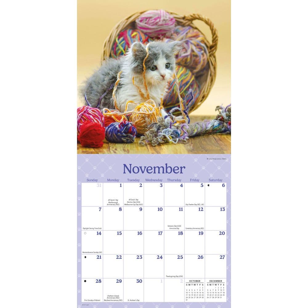 Curious Kittens 2027 Mini Wall Calendar Fourth Alternate Image
