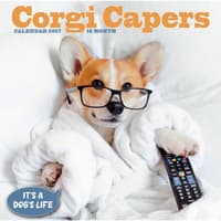 image Corgi Capers 2027 Wall Calendar Main Product Image