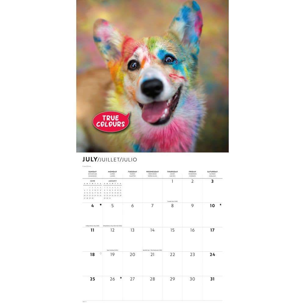 Corgi Capers 2027 Wall Calendar Third Alternate Image