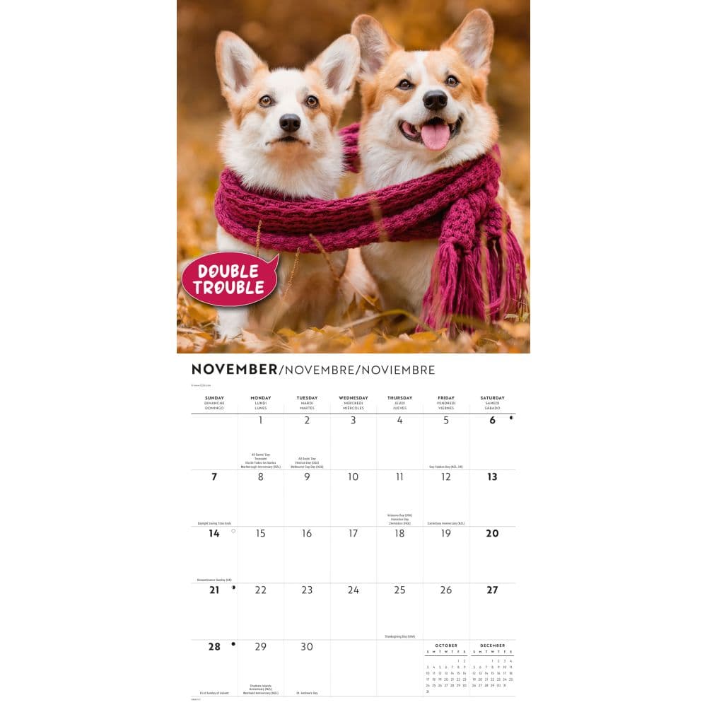 Corgi Capers 2027 Wall Calendar Fourth Alternate Image