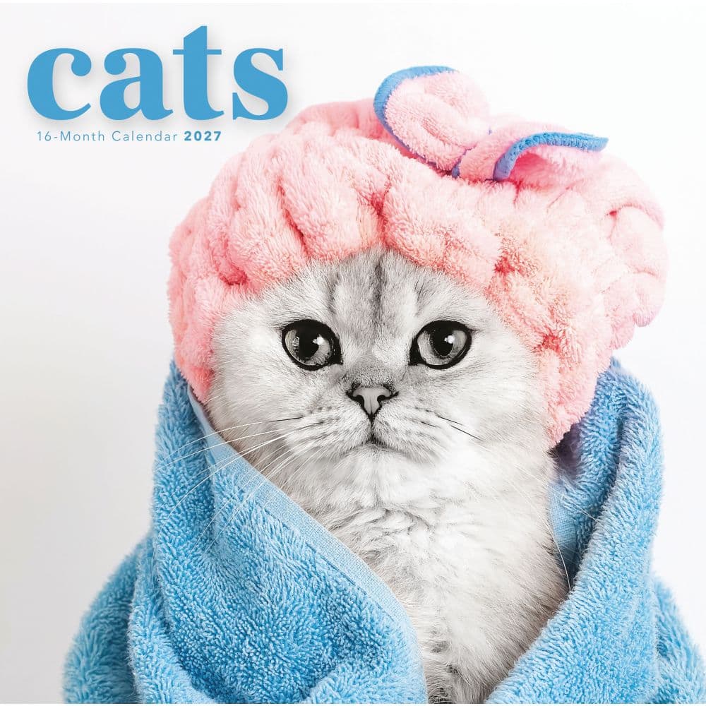 Classic Cats 2027 Wall Calendar Main Product Image