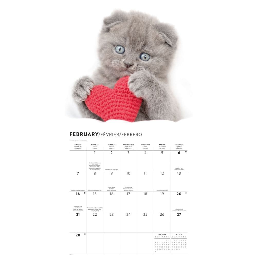 Classic Cats 2027 Wall Calendar Second Alternate Image