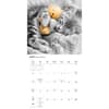 image Classic Cats 2027 Wall Calendar Third Alternate Image