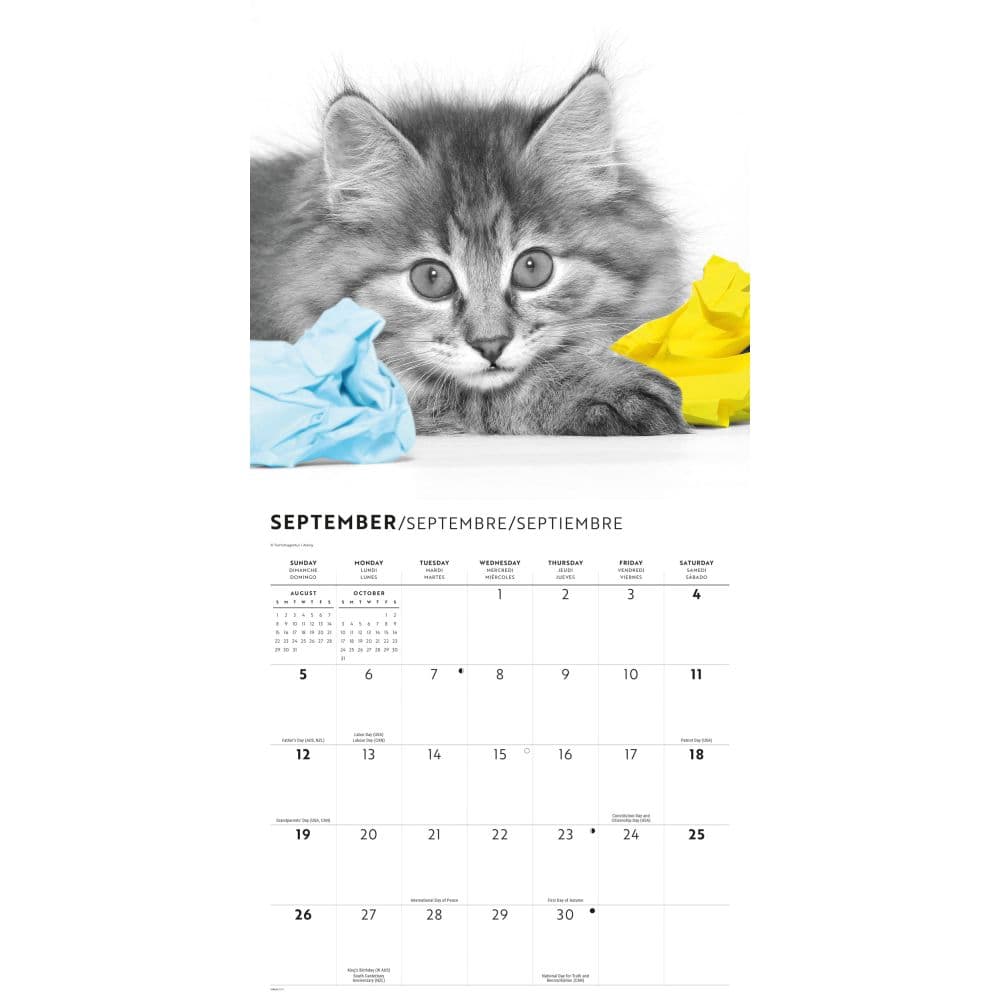 Classic Cats 2027 Wall Calendar Fourth Alternate Image
