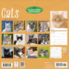 image Cats 2027 Wall Calendar First Alternate Image