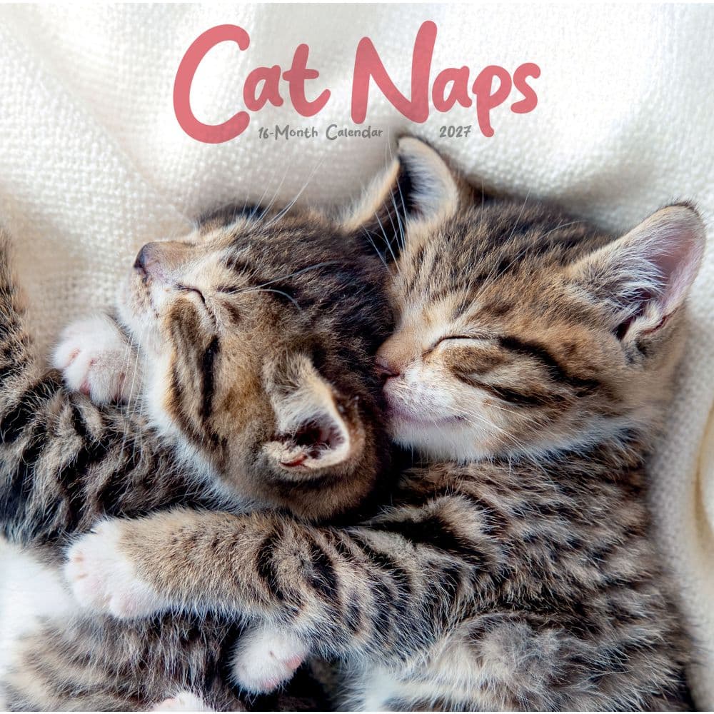 Cat Naps 2027 Wall Calendar Main Product Image