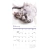 image Cat Naps 2027 Wall Calendar Second Alternate Image