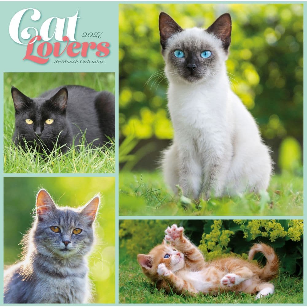 Cat Lovers 2027 Wall Calendar Main Product Image