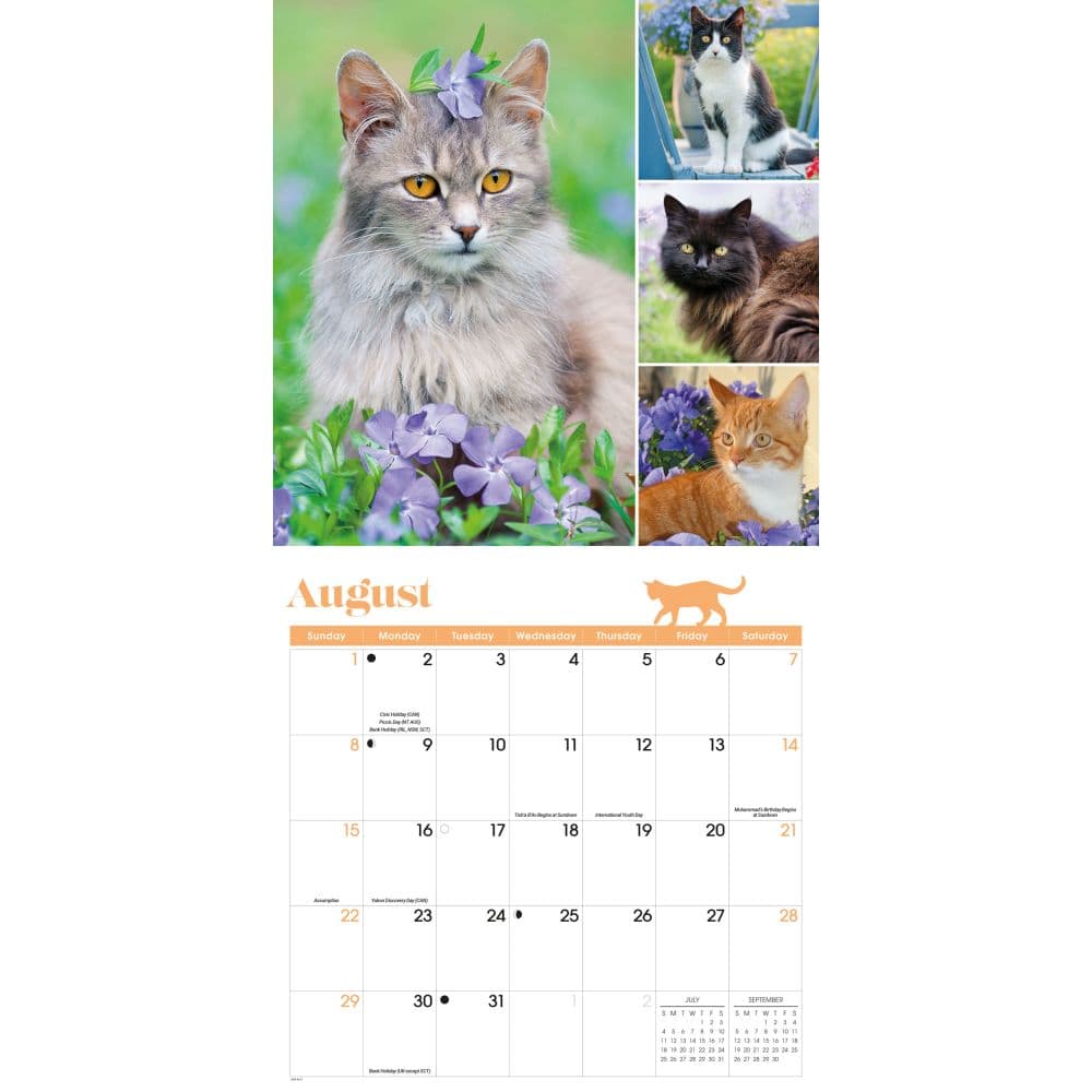 Cat Lovers 2027 Wall Calendar Second Alternate Image