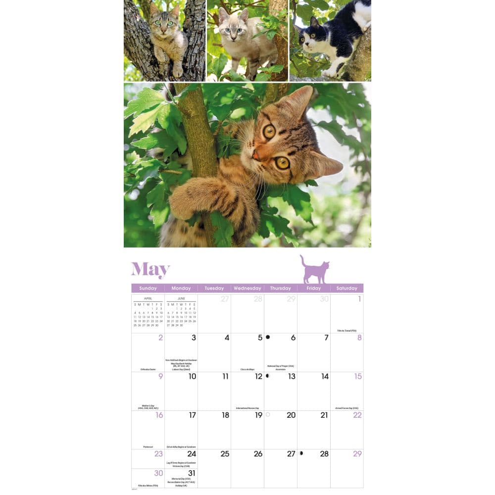 Cat Lovers 2027 Wall Calendar Third Alternate Image