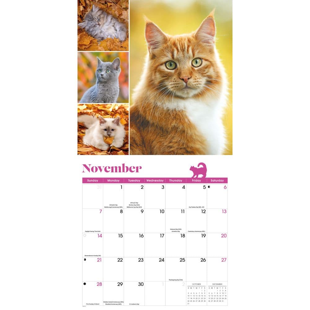Cat Lovers 2027 Wall Calendar Fourth Alternate Image