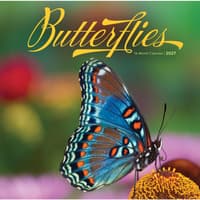 image Butterflies 2027 Wall Calendar Main Product Image
