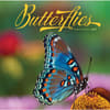 image Butterflies 2027 Wall Calendar Main Product Image