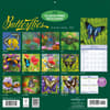 image Butterflies 2027 Wall Calendar First Alternate Image