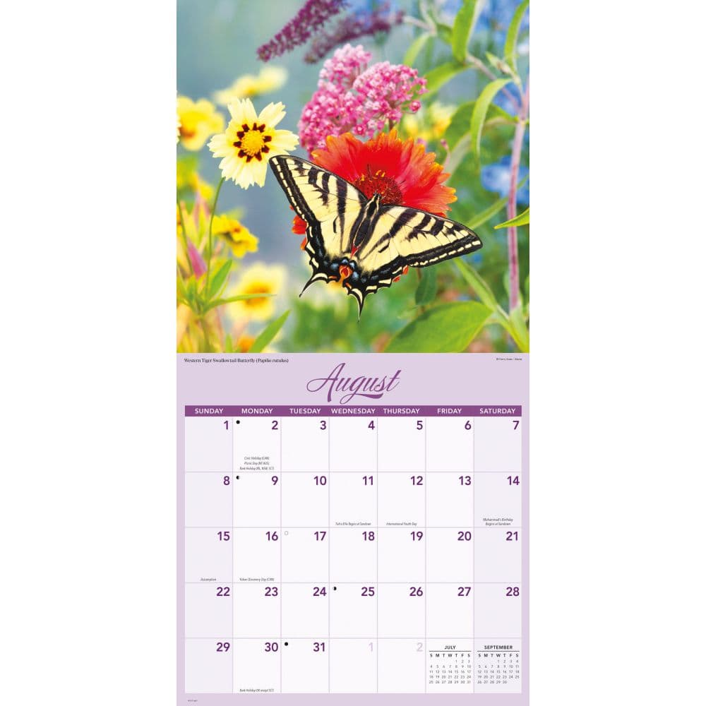 Butterflies 2027 Wall Calendar Third Alternate Image
