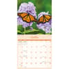 image Butterflies 2027 Wall Calendar Fourth Alternate Image
