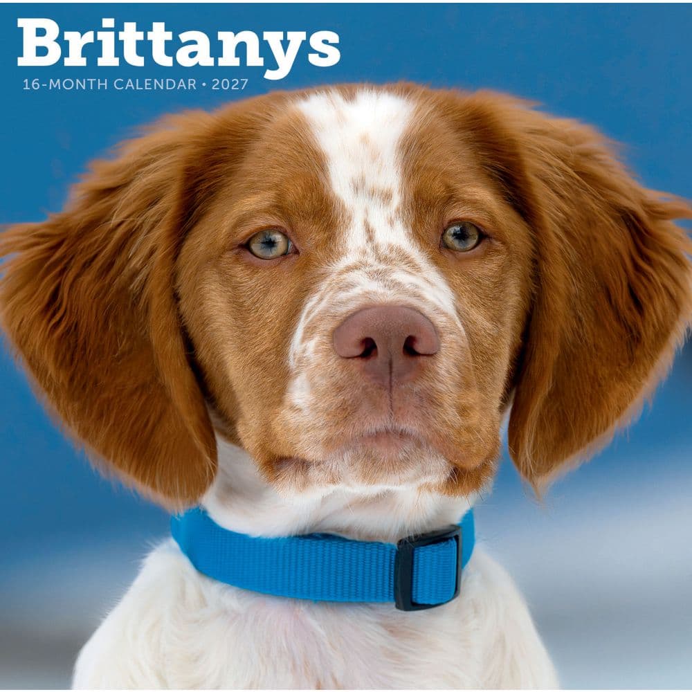 Brittanys 2027 Wall Calendar Main Product Image