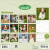 image Brittanys 2027 Wall Calendar First Alternate Image