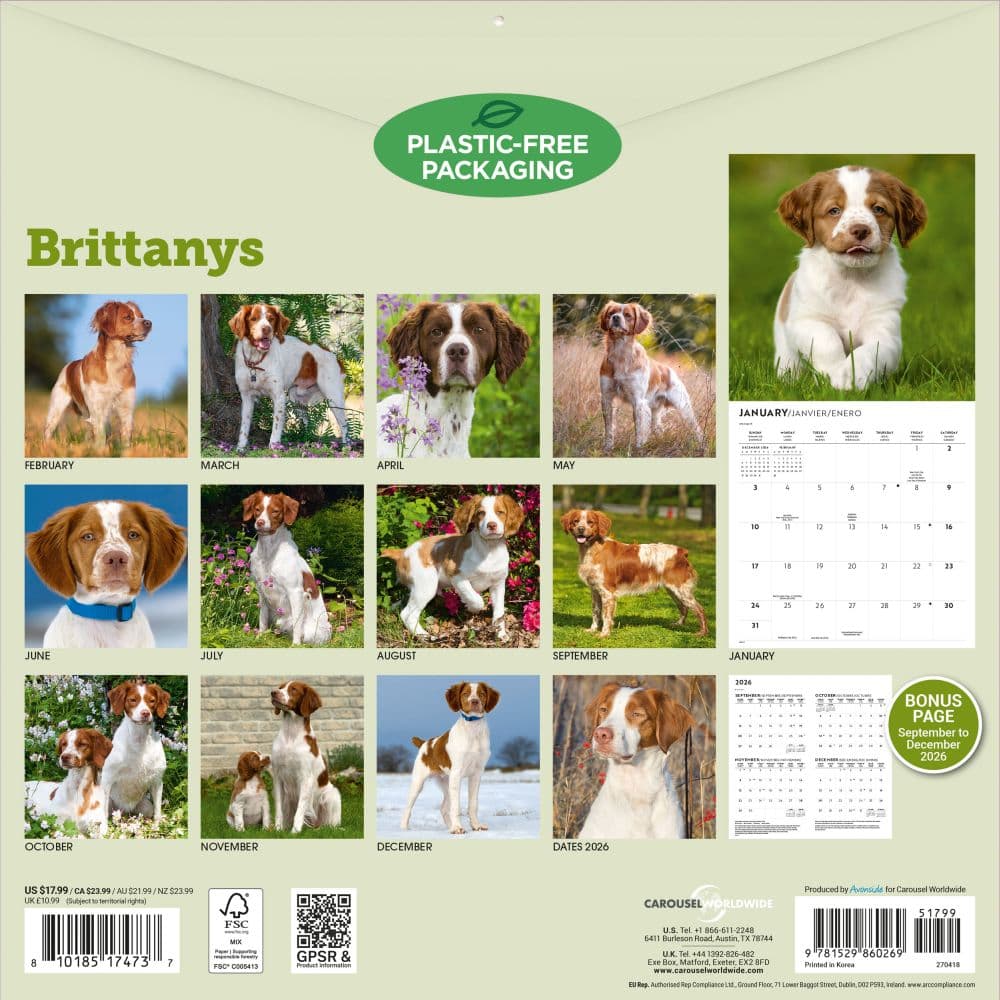 Brittanys 2027 Wall Calendar First Alternate Image