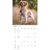 image Brittanys 2027 Wall Calendar Second Alternate Image
