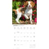 image Brittanys 2027 Wall Calendar Third Alternate Image