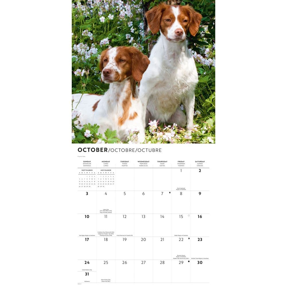 Brittanys 2027 Wall Calendar Fourth Alternate Image