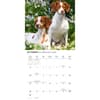 image Brittanys 2027 Wall Calendar Fourth Alternate Image