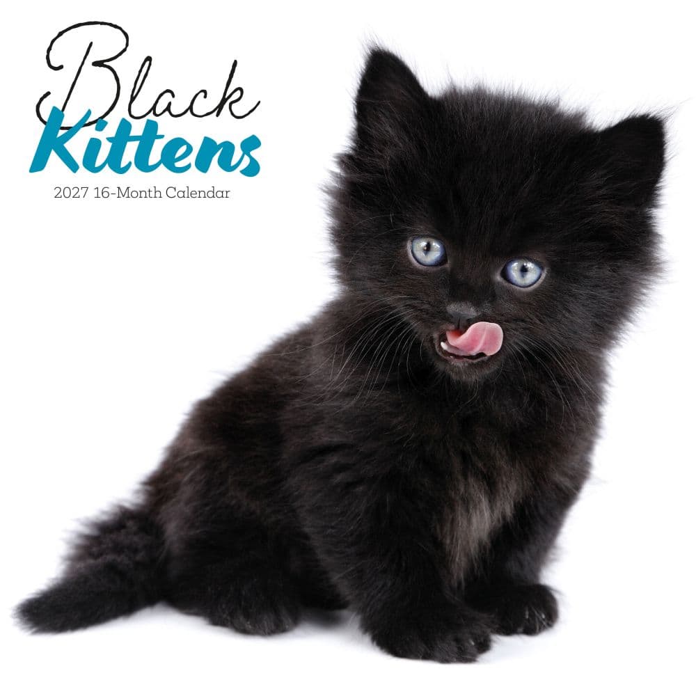 Black Kitties 2027 Wall Calendar Main Product Image