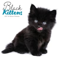 image Black Kitties 2027 Wall Calendar Main Product Image
