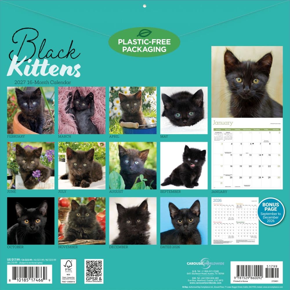 Black Kitties 2027 Wall Calendar First Alternate Image
