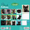 image Black Kitties 2027 Wall Calendar First Alternate Image