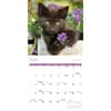 image Black Kitties 2027 Wall Calendar Third Alternate Image