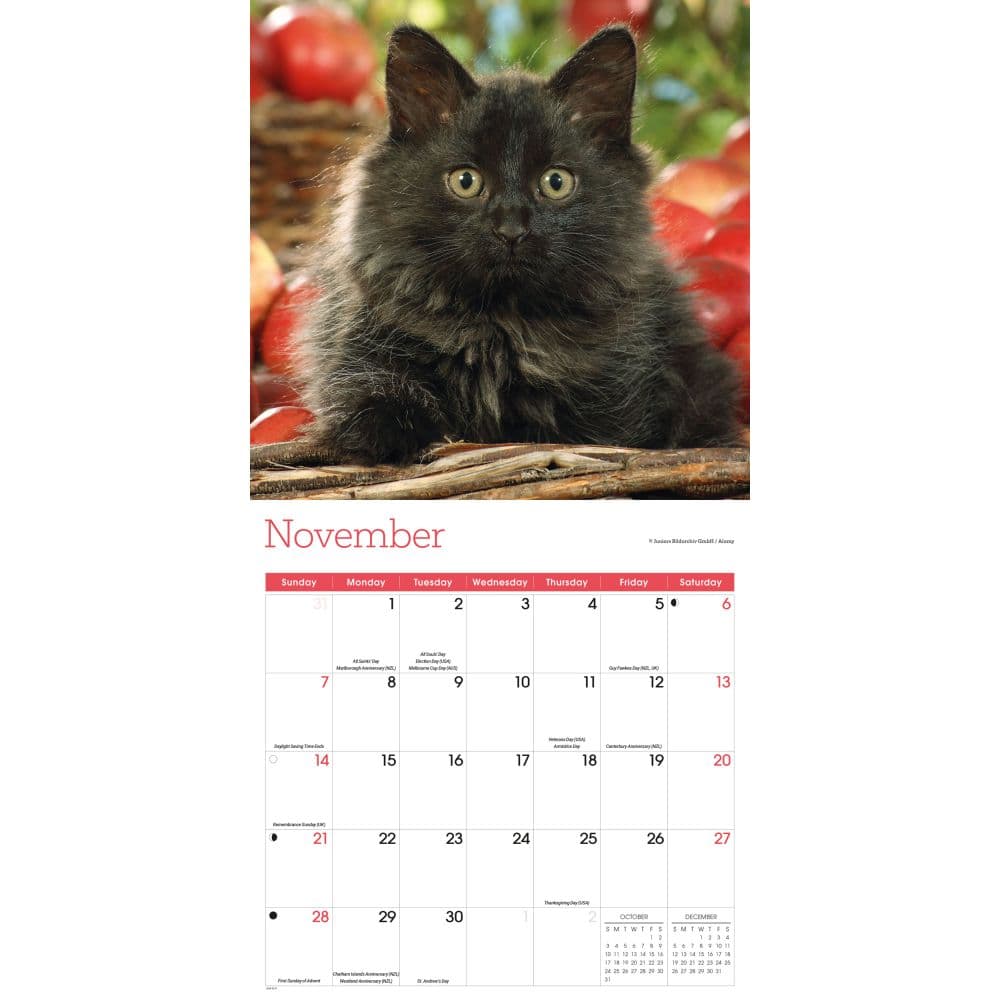 Black Kitties 2027 Wall Calendar Fourth Alternate Image