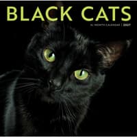 image Black Cats 2027 Wall Calendar Main Product Image