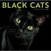 image Black Cats 2027 Wall Calendar Main Product Image