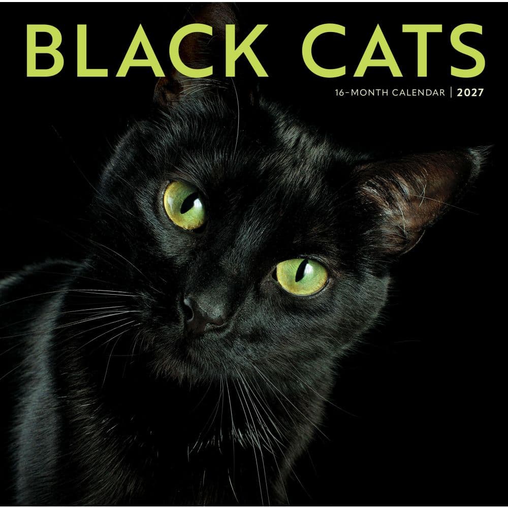 image Black Cats 2027 Wall Calendar Main Product Image