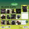 image Black Cats 2027 Wall Calendar First Alternate Image