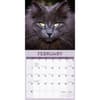 image Black Cats 2027 Wall Calendar Second Alternate Image