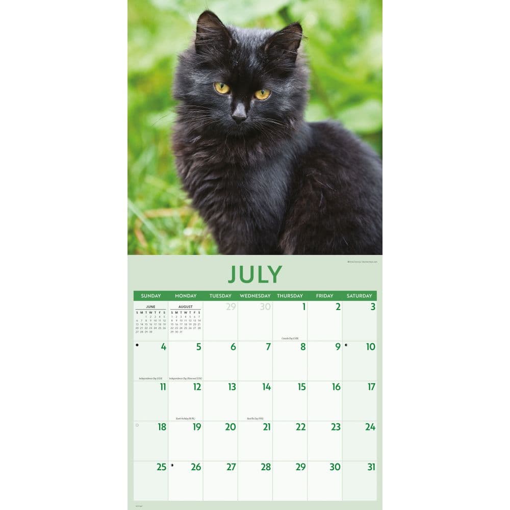 Black Cats 2027 Wall Calendar Third Alternate Image
