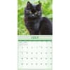image Black Cats 2027 Wall Calendar Third Alternate Image