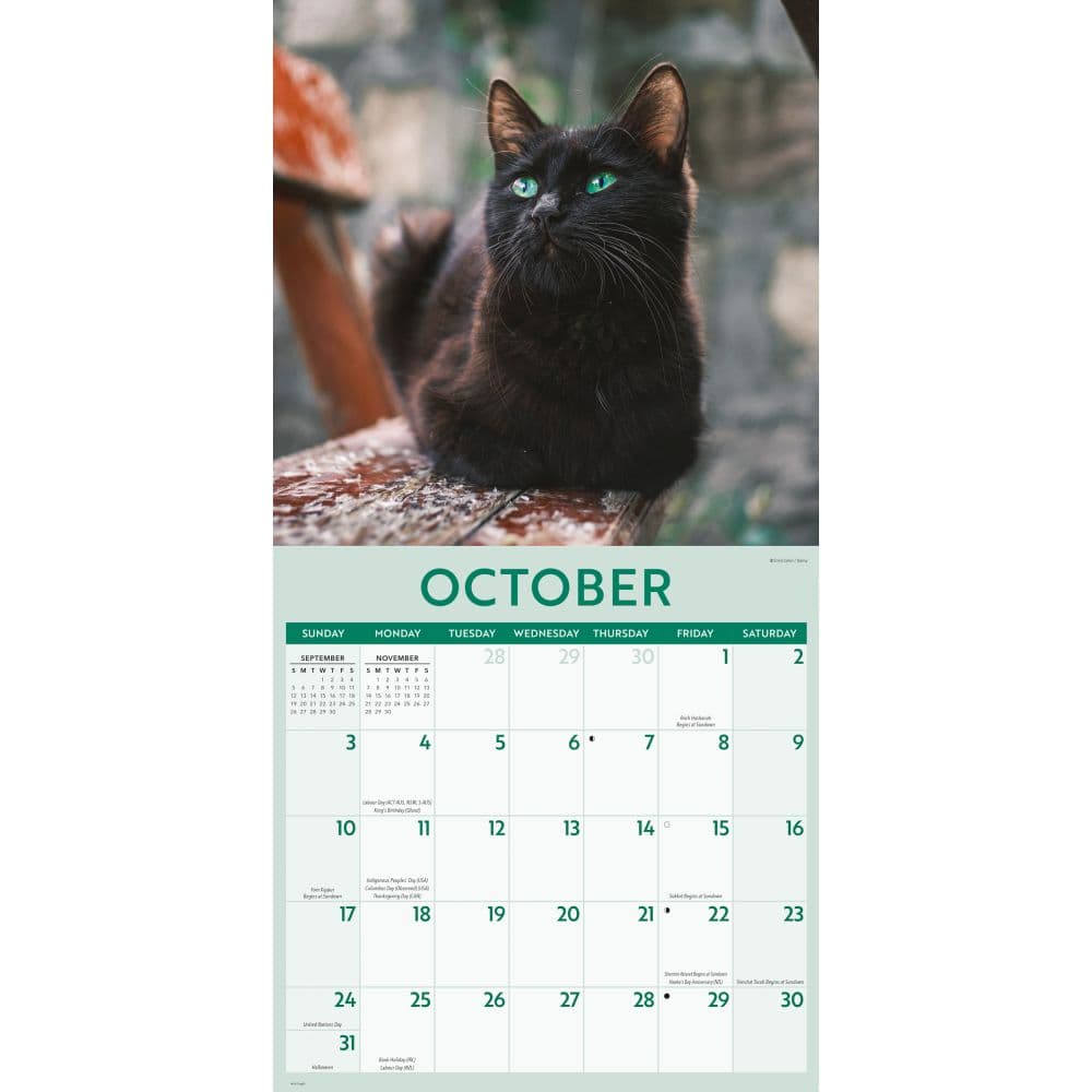 Black Cats 2027 Wall Calendar - Calendars.com