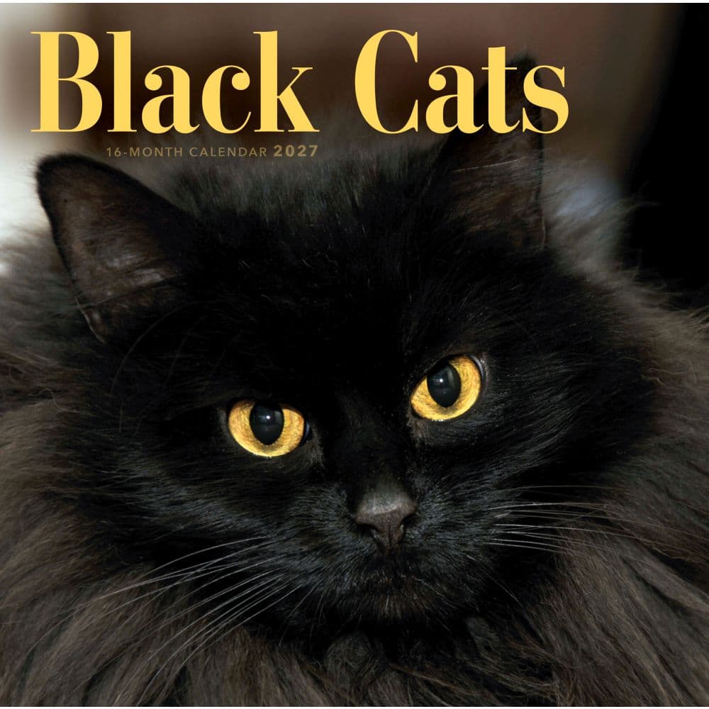 Black Cats 2027 Wall Calendar Main Product Image