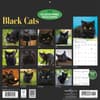 image Black Cats 2027 Wall Calendar First Alternate Image