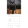 image Black Cats 2027 Wall Calendar Second Alternate Image
